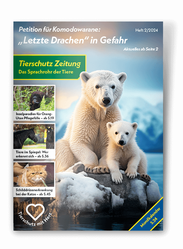 Die Neue Ausgabe der Tierschutzzeitung ist nun erhältlich!